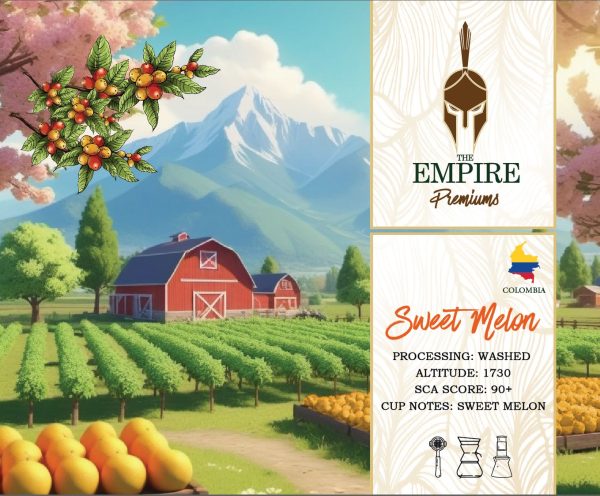 COLOMBIAN SWEET MELON 🍈 - Image 2